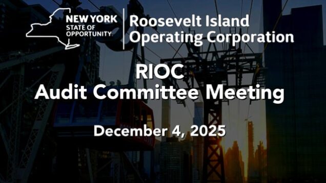 RIOC Audit Committee Meeting – December 4th 2025